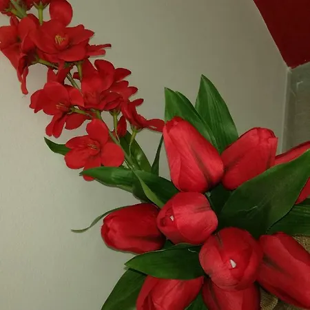 Aloha Giardini Naxos